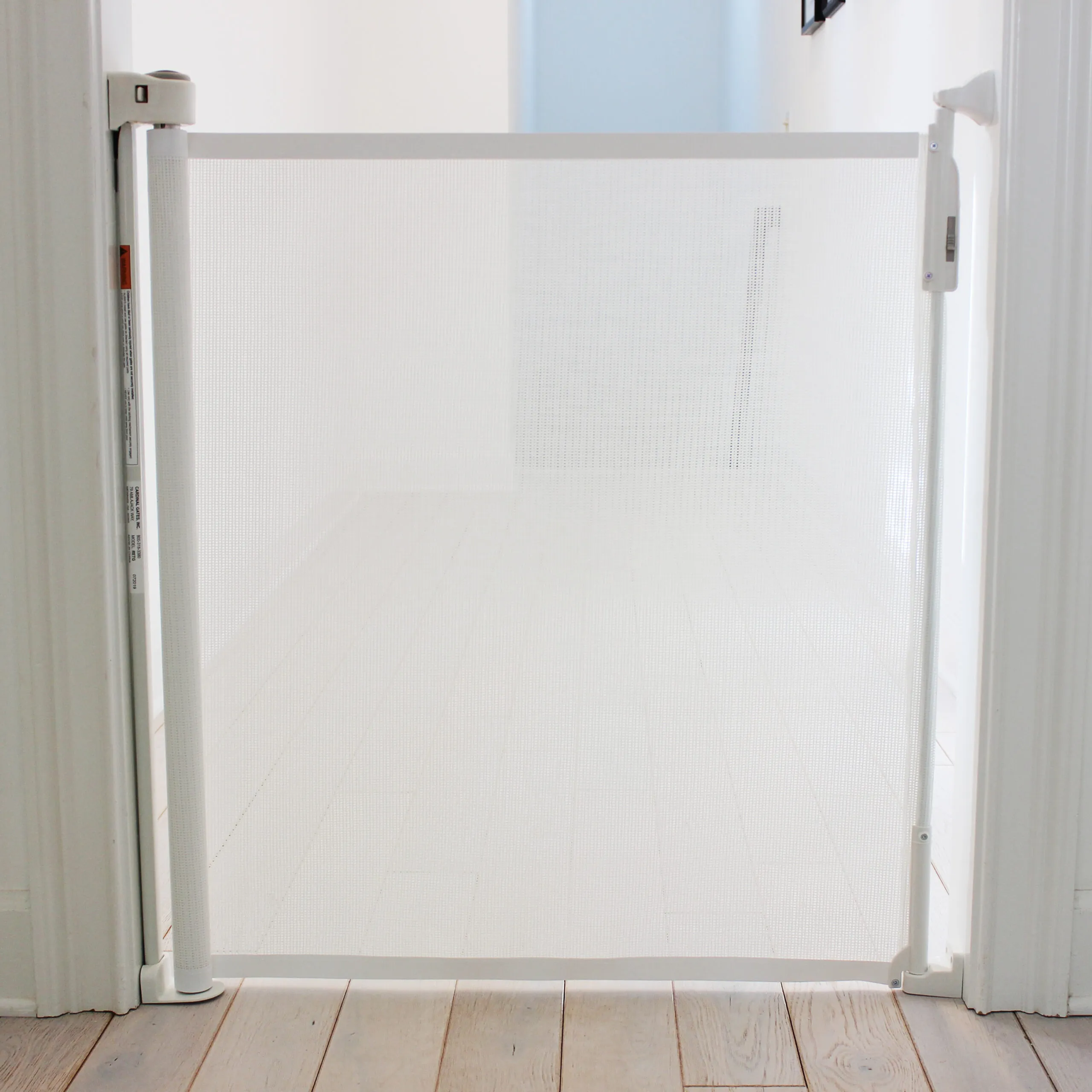 Retractable Gate (Model RETG)