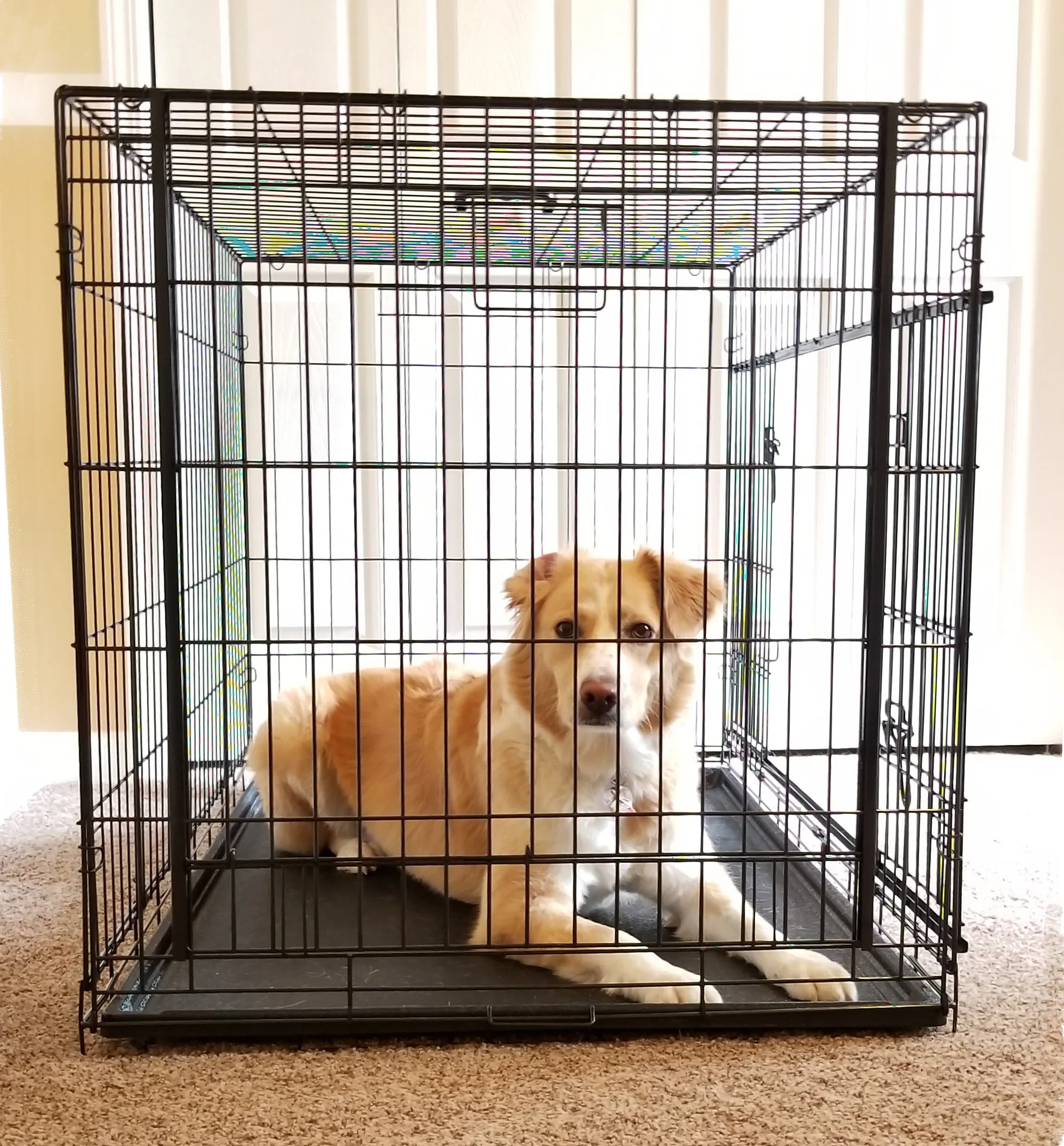 Sliding Door Pet Crate