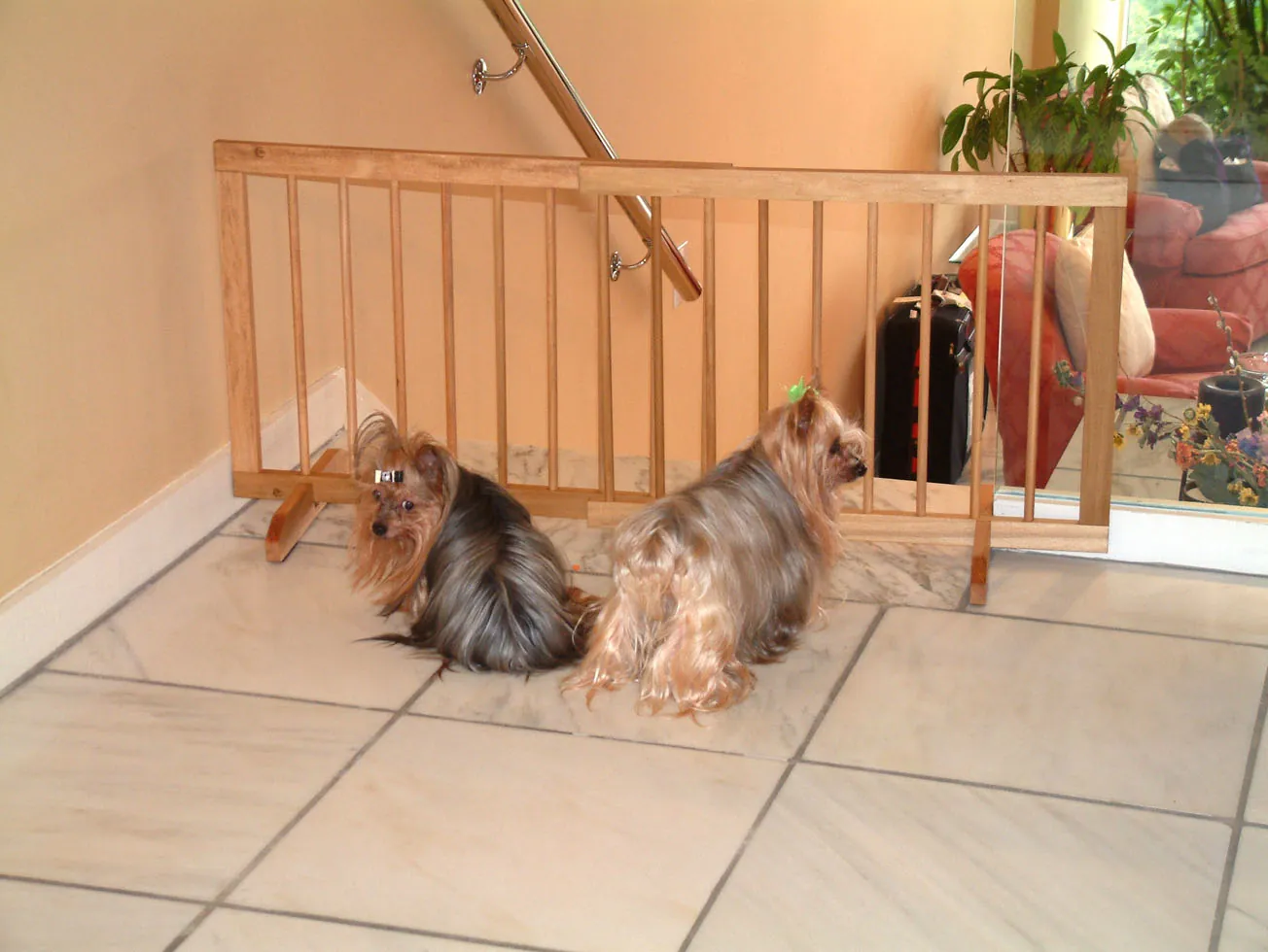 Step Over Wood Gate (Model SG-1)