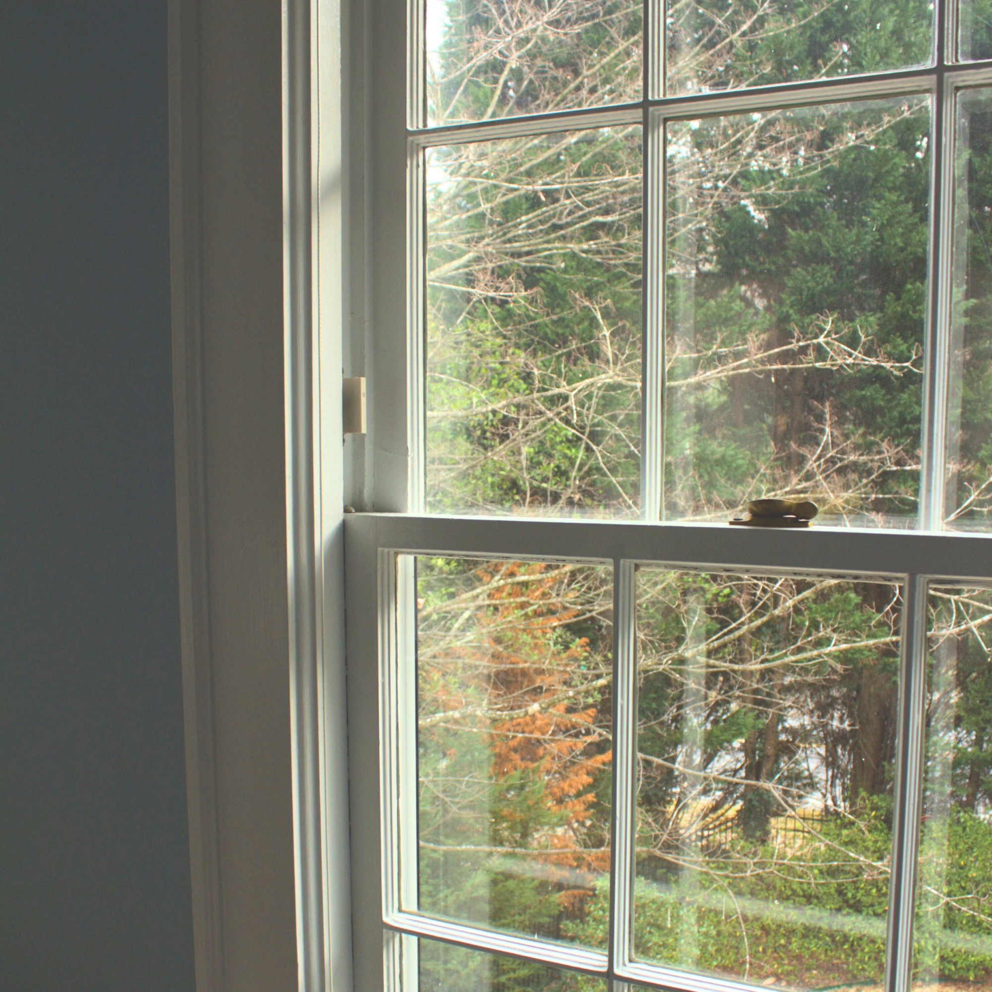 Window Warden™