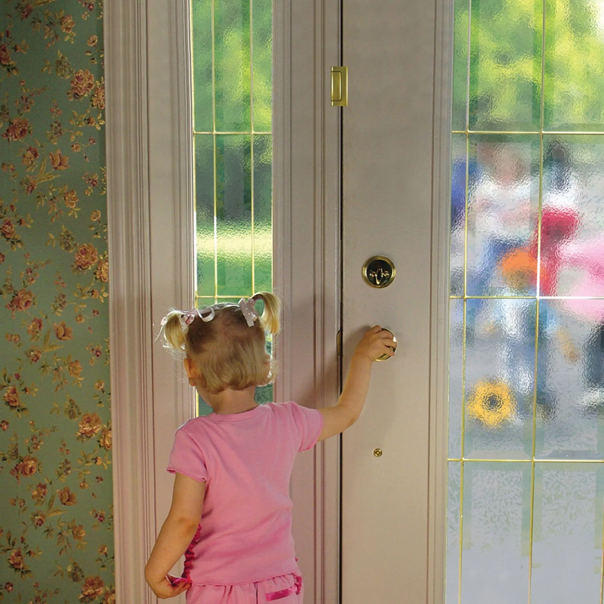 The Door Guardian (Model DG01)