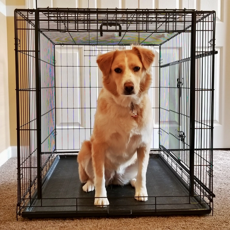 Sliding Door Pet Crate