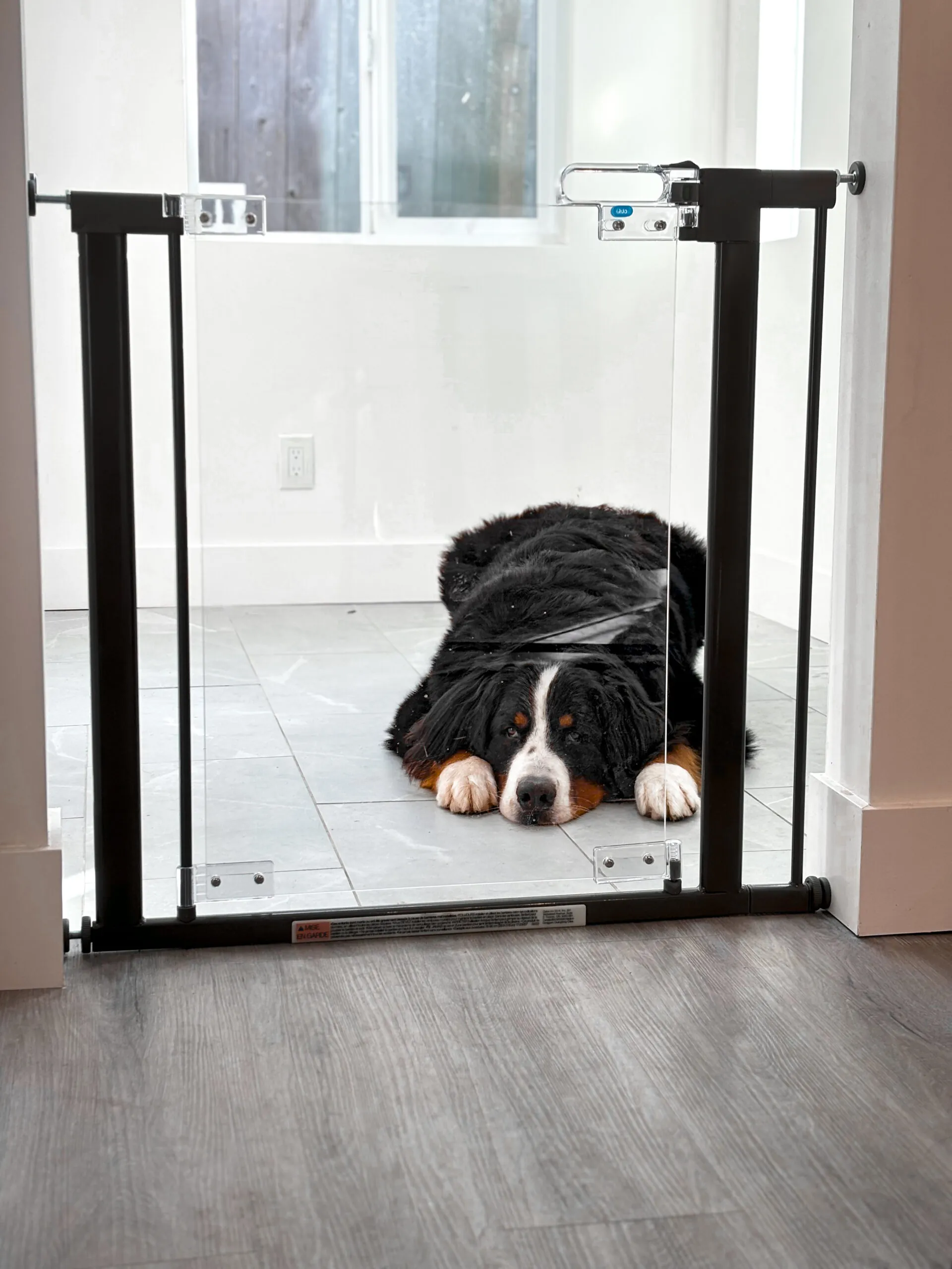 Qdos Crystal Designer Gate (Pressure Mount)